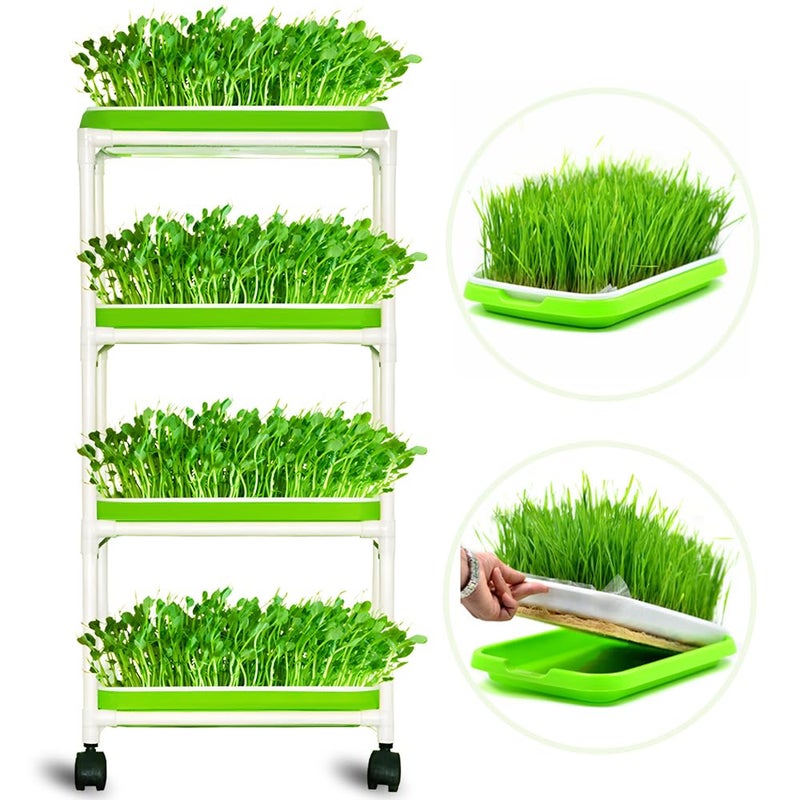LeJoy Garden 4 Layers Sprout Trays with Extra Strength Plastic Shelf SoilFree Healthy Wheatgrass Seeds Grower  Storage Trays for Garden Home Office 