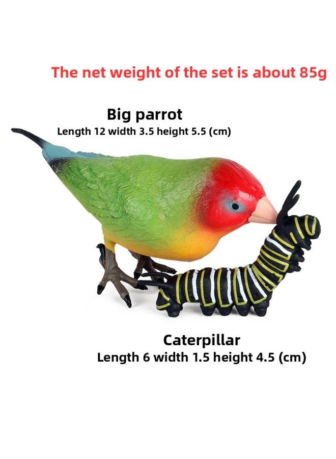 Children's Cognitive Simulation Animal Bird Model Toy Static Eagle Owl Sea Eagle Parrot Decorative Ornaments-Color:Big Peony Parrot Eating Caterpillar  - Image 1