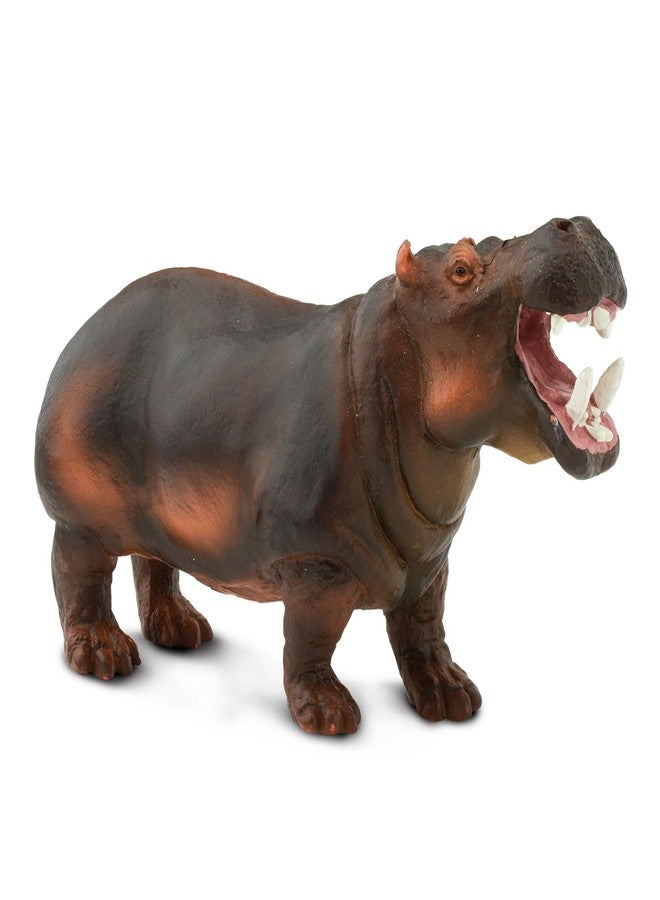 Safari Ltd. Hippopotamus Figurine - Lifelike, Hand-Painted 5" Model Figure - Educational Toy for Boys, Girls & Kids Ages 3+ - Image 2