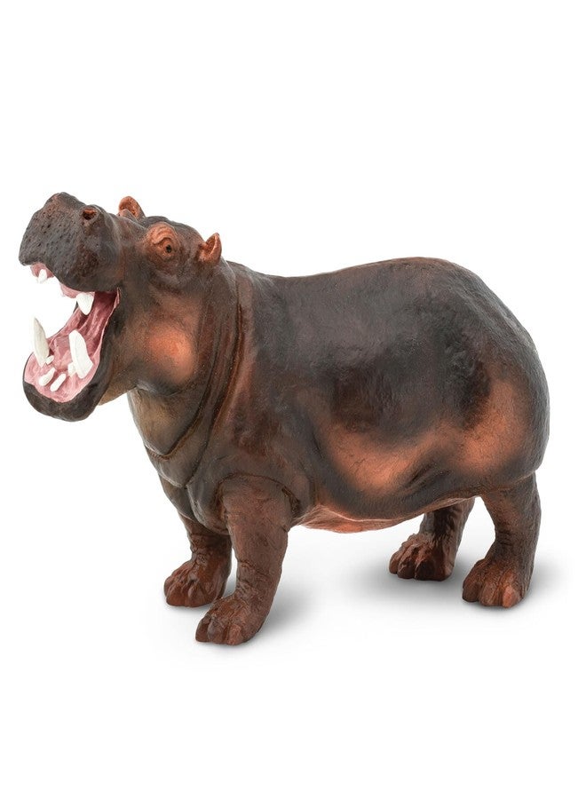 Safari Ltd. Hippopotamus Figurine - Lifelike, Hand-Painted 5" Model Figure - Educational Toy for Boys, Girls & Kids Ages 3+ - Image 1