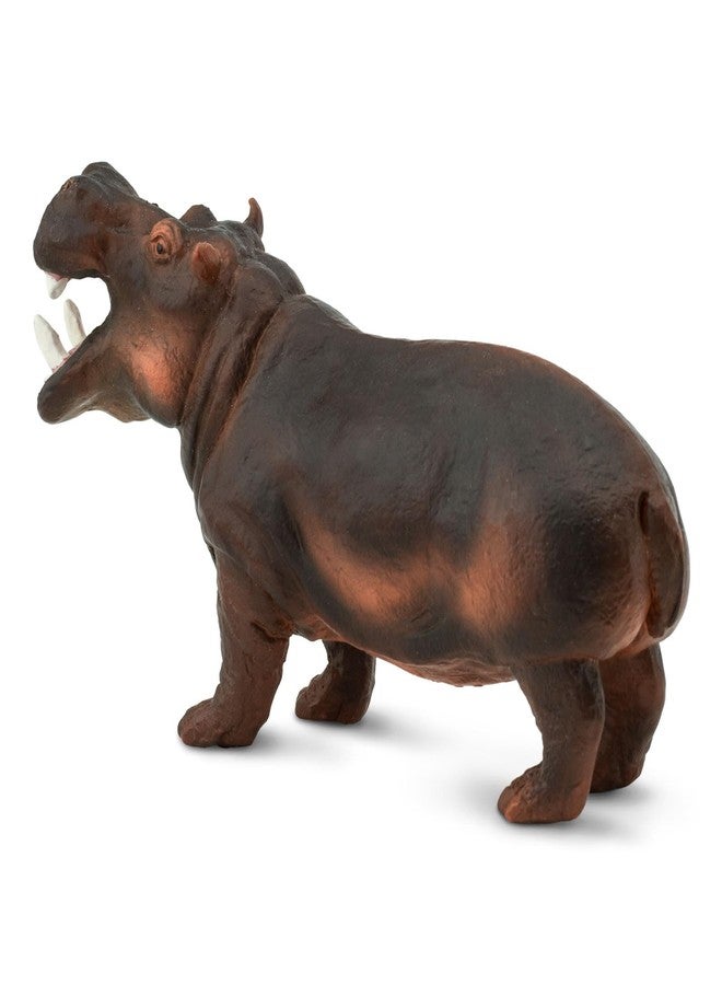 Safari Ltd. Hippopotamus Figurine - Lifelike, Hand-Painted 5" Model Figure - Educational Toy for Boys, Girls & Kids Ages 3+ - Image 3
