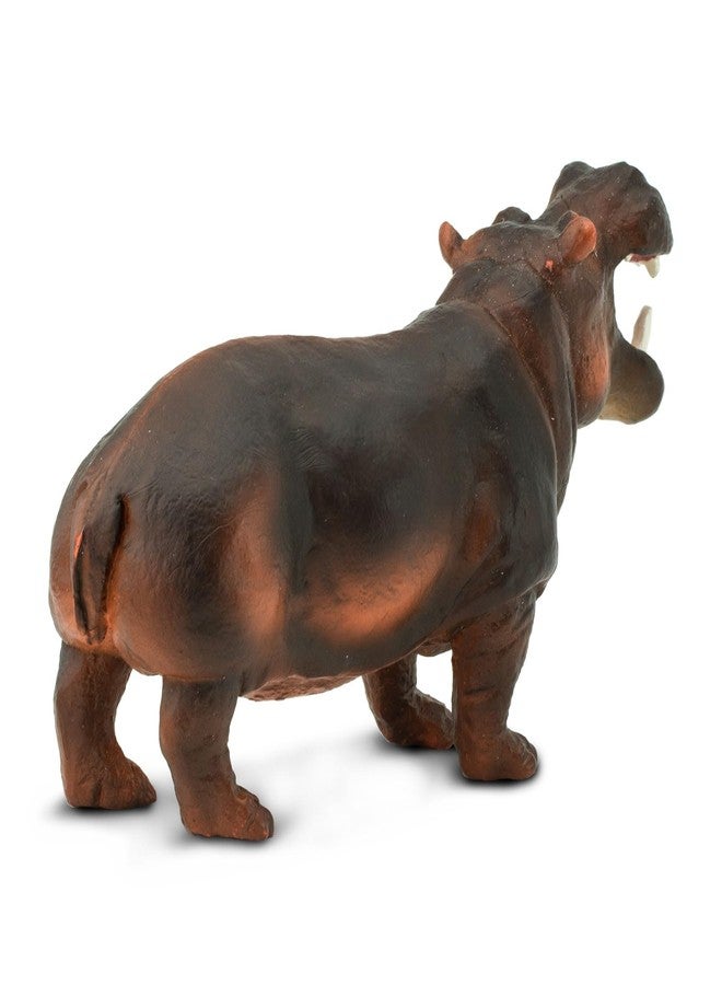 Safari Ltd. Hippopotamus Figurine - Lifelike, Hand-Painted 5" Model Figure - Educational Toy for Boys, Girls & Kids Ages 3+ - Image 5