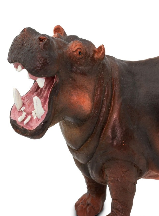 Safari Ltd. Hippopotamus Figurine - Lifelike, Hand-Painted 5" Model Figure - Educational Toy for Boys, Girls & Kids Ages 3+ - Image 4