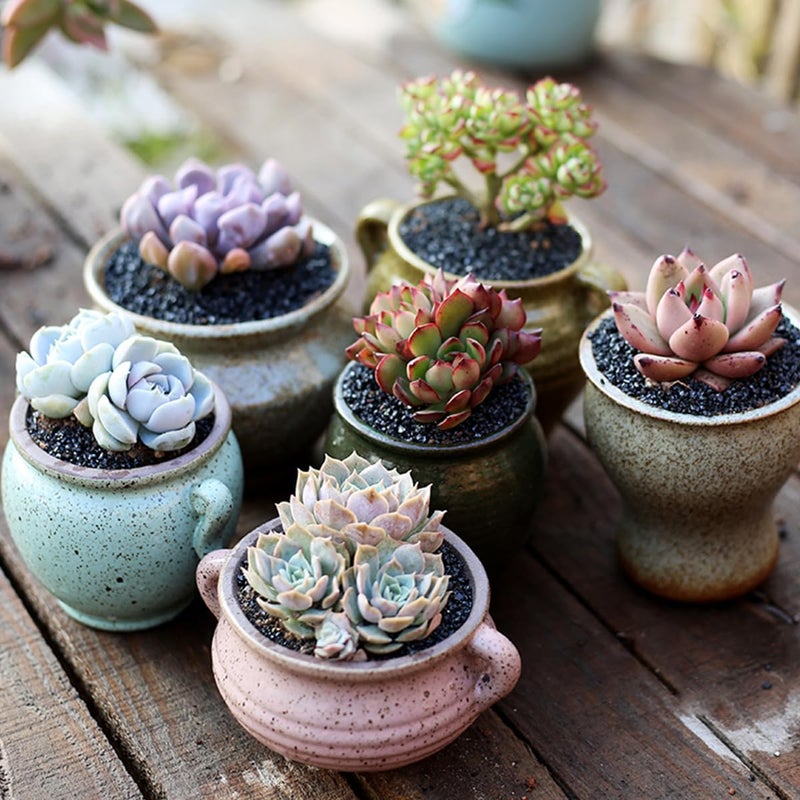6lb Succulents and Cactus Black Sand, Décor & Additive Tiny Stones, DIY Rocks Gravel, Decorative Pebbles for Bonsai, Fairy Gardening, Terrarium, Vases Fillers, Top Dressing - Image 4