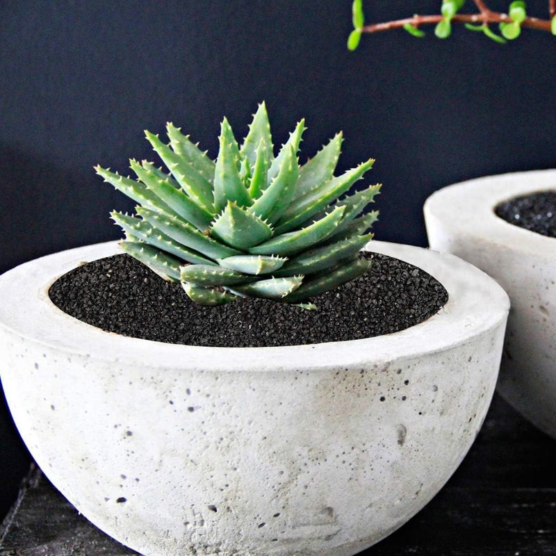 6lb Succulents and Cactus Black Sand, Décor & Additive Tiny Stones, DIY Rocks Gravel, Decorative Pebbles for Bonsai, Fairy Gardening, Terrarium, Vases Fillers, Top Dressing - Image 5