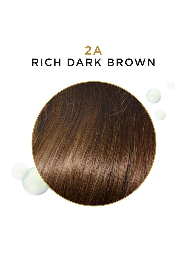 CLAIROL PROFESSIONAL Beautiful Advanced Gray Solutions 2a Rich Dark Brown, 3 oz - Image 3