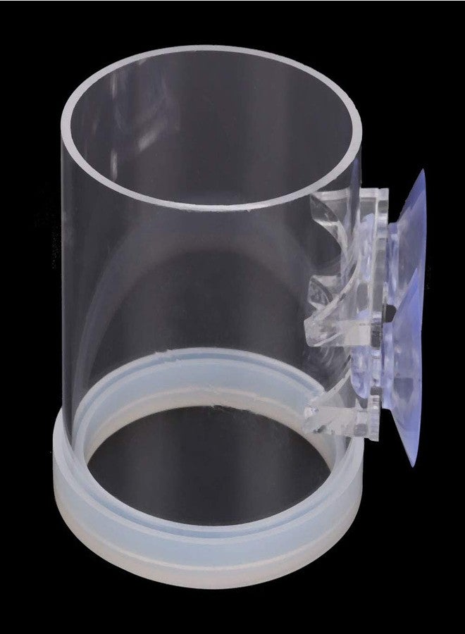 Jauarta Acrylic Transparent Fish Feeding Ring Food Feeder with Suction Cup for Aqarium Fishing - Image 5