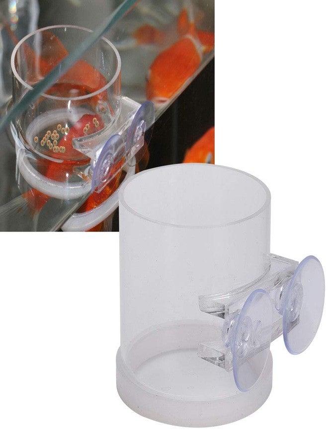 Jauarta Acrylic Transparent Fish Feeding Ring Food Feeder with Suction Cup for Aqarium Fishing - Image 4