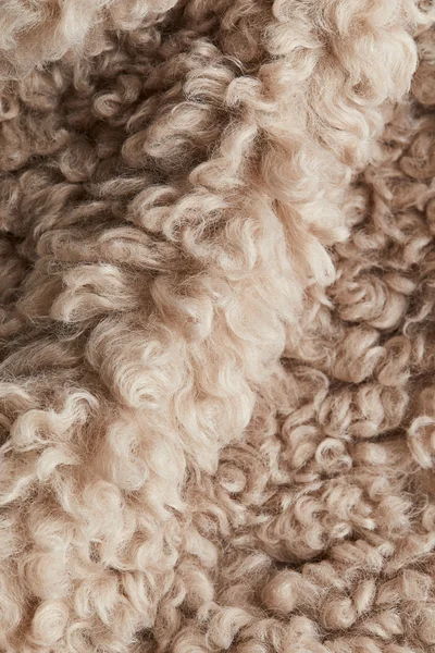 اتش اند ام Fluffy Gilet