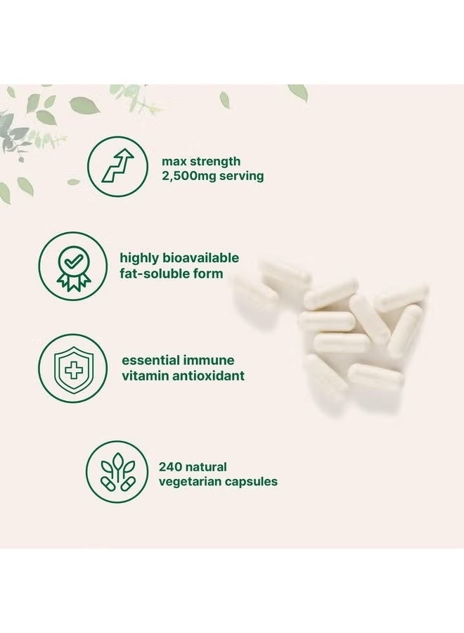 Micro Ingredients, Liposomal Vitamin C, 240 Vegetarian Capsules (625 mg per Capsule) - Image 3