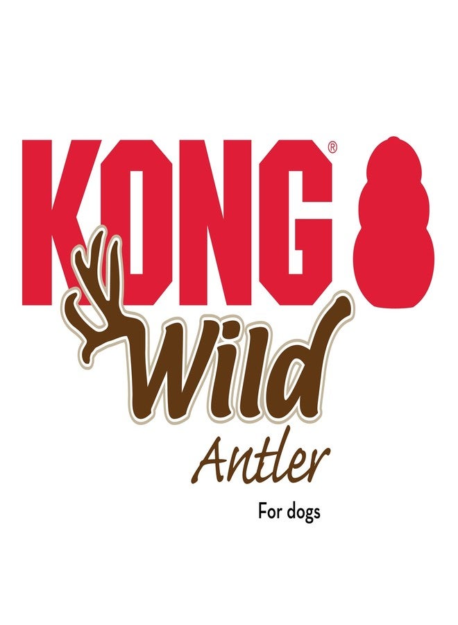 كونج KONG Wild Antler Split Md - Image 5
