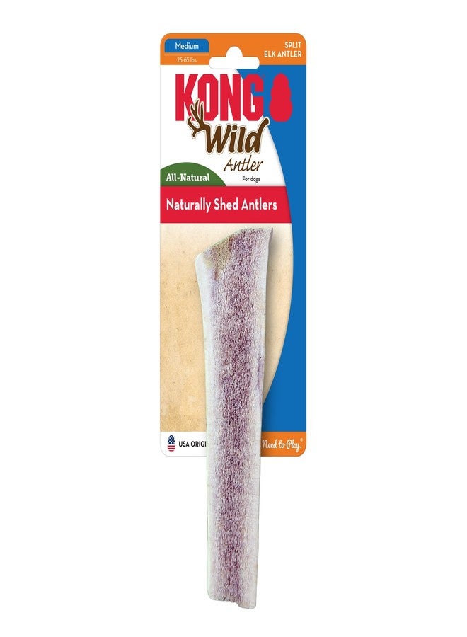 كونج KONG Wild Antler Split Md - Image 3