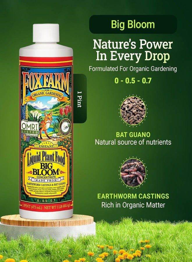 Fox Farm - Big Bloom Plant Food, Liquid Fertilizer Concentrate for Flowers, Fruits, and Vegetables, All Purpose Plant Fertilizer for Indoor & Outdoor Potted Plants, NPK 0.01-0.03-0.7 (Pint) - Image 2
