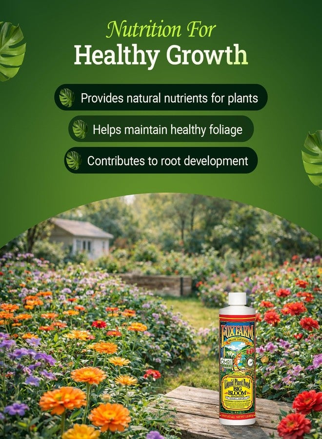Fox Farm - Big Bloom Plant Food, Liquid Fertilizer Concentrate for Flowers, Fruits, and Vegetables, All Purpose Plant Fertilizer for Indoor & Outdoor Potted Plants, NPK 0.01-0.03-0.7 (Pint) - Image 5