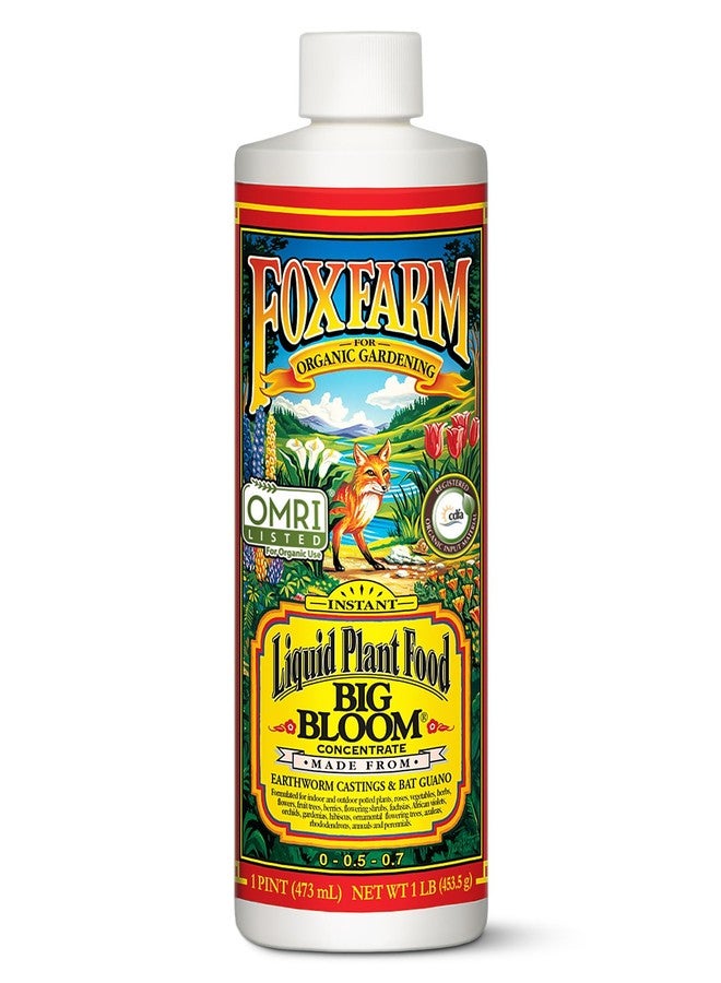 Fox Farm - Big Bloom Plant Food, Liquid Fertilizer Concentrate for Flowers, Fruits, and Vegetables, All Purpose Plant Fertilizer for Indoor & Outdoor Potted Plants, NPK 0.01-0.03-0.7 (Pint) - Image 1
