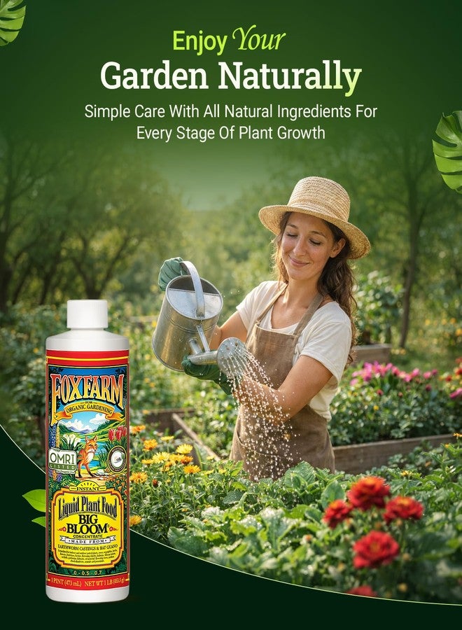 Fox Farm - Big Bloom Plant Food, Liquid Fertilizer Concentrate for Flowers, Fruits, and Vegetables, All Purpose Plant Fertilizer for Indoor & Outdoor Potted Plants, NPK 0.01-0.03-0.7 (Pint) - Image 3