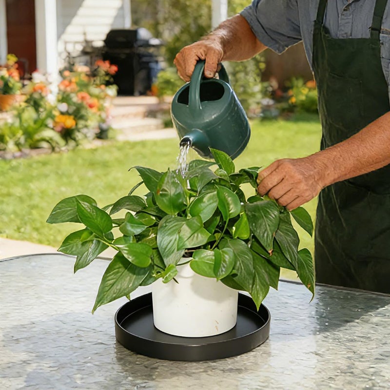 Afrine Plant Saucer, Plant Saucers - Image 4