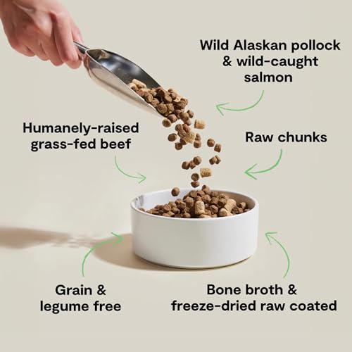Open Farm, RawMix Grain-Free Dry Dog Food, Protein-Packed Kibble Coated in Bone Broth with Freeze Dried Raw Chunks, Pollock Beef & Salmon, Tide & Terrain Recipe, 3.5lb Bag - Image 3