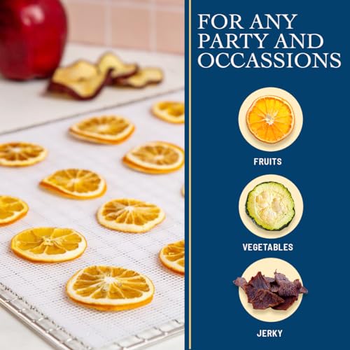 Lova (12 Pack) Silicone Dehydrator Sheets (Free Recipes) (14in.x14in.) Dehydrator Accessories for Cosori, Excalibur, Magic Mill- Fine Mesh Trays - Mats, Jerky, Fruit and More - Image 3