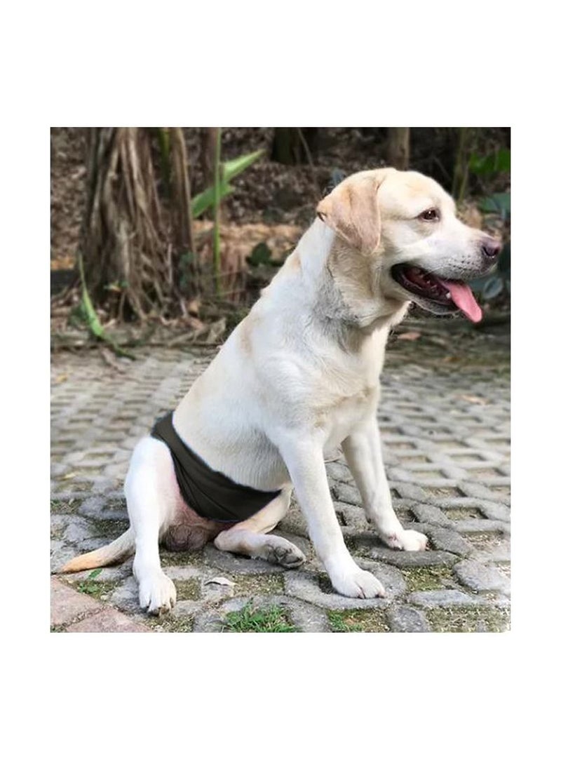 أربطة بطن قابلة للغسل للكلاب ولفائف موسعة للكلاب - أربطة بطن عالية الامتصاص للكلاب الذكور الكبيرة - Image 2