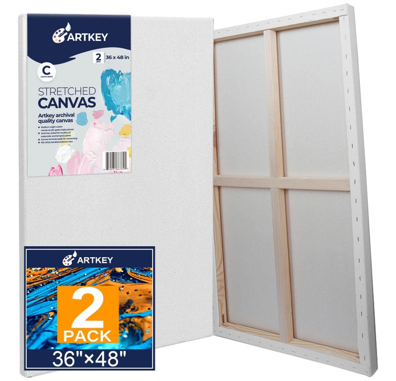 Large Canvases for Painting 36x48 Inch 2Pack 123 oz Triple Primed AcidFree 100 Cotton Stretched Canvas Blank Large Canvas for Oil Paint Acrylics Pouring  Wet Art Media