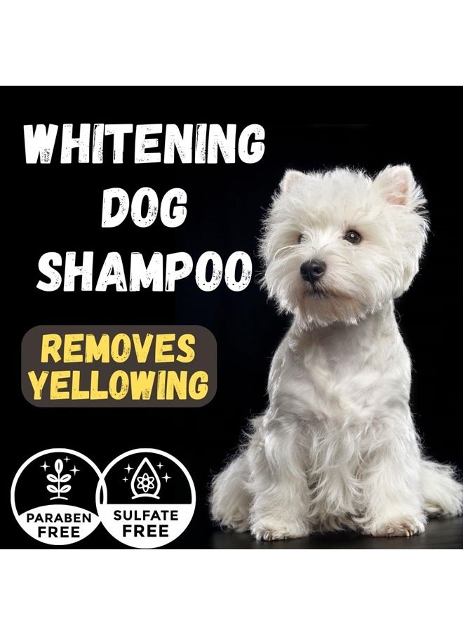 KELEBS - Kelebs Dog Whitening Shampoo | White Dog Shampoo Bar | Oatmeal Shampoo for Dogs | Puppy Shampoo | Itch Relief for Dogs Wash | Dog Soap for Dandruff, Smelly, Allergy, Sensitive Skin | Natural 3PCS - Image 1