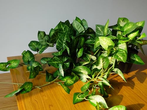 VOELIGT 2 Fake Pothos Hanging Plants Artificial Pothos Plant with Pots Faux Hanging Plants Office Decor Low Maintenance Fake Vines Artificial Greenery for Indoor Green Yellow - Image 3