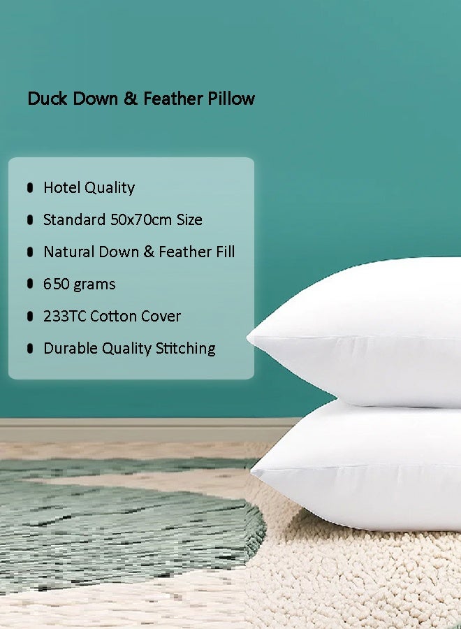 Pearl Coast وسادة من ريش البط وأسفل البط – 45x70 سم – 30% أسفل بط 70% ريش – 650 جرام – 233TC غلاف قطن 100% – ناعمة، قابلة للتنفس ودائمة – عبوة من 2 - Image 4