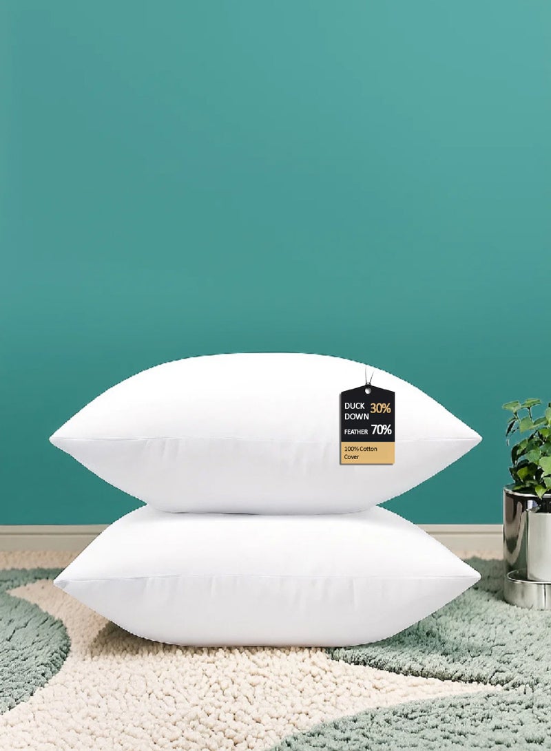 Pearl Coast وسادة من ريش البط وأسفل البط – 45x70 سم – 30% أسفل بط 70% ريش – 650 جرام – 233TC غلاف قطن 100% – ناعمة، قابلة للتنفس ودائمة – عبوة من 2 - Image 1