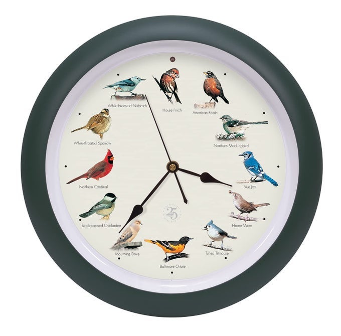 MARK FELDSTEIN ASSOCIATES THE ORIGINAL SINGING BIRD CLOCK 25TH ANNIVERSARY EDITION AS SEEN ON TV 13 INCH MATTE GREEN