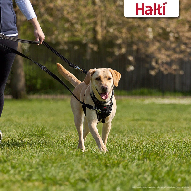Halti Training Leash - Multifunctional Double-Ended Dog Leash, Ideal for Anti-Pulling Dog Training. Lightweight, Soft & Durable. Suitable for Puppies and Small Dogs (Size Small, Black, 2m) - Image 3