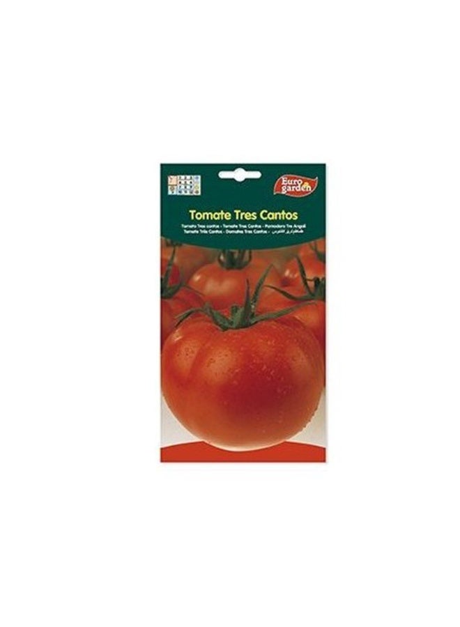 Euro Garden EG Tomato Big Seeds