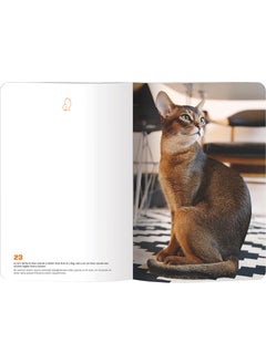 Le Color Cat Lover Flexible Cover Notebook 144 Pages 10.5 x 18.58 cm  - Image 3