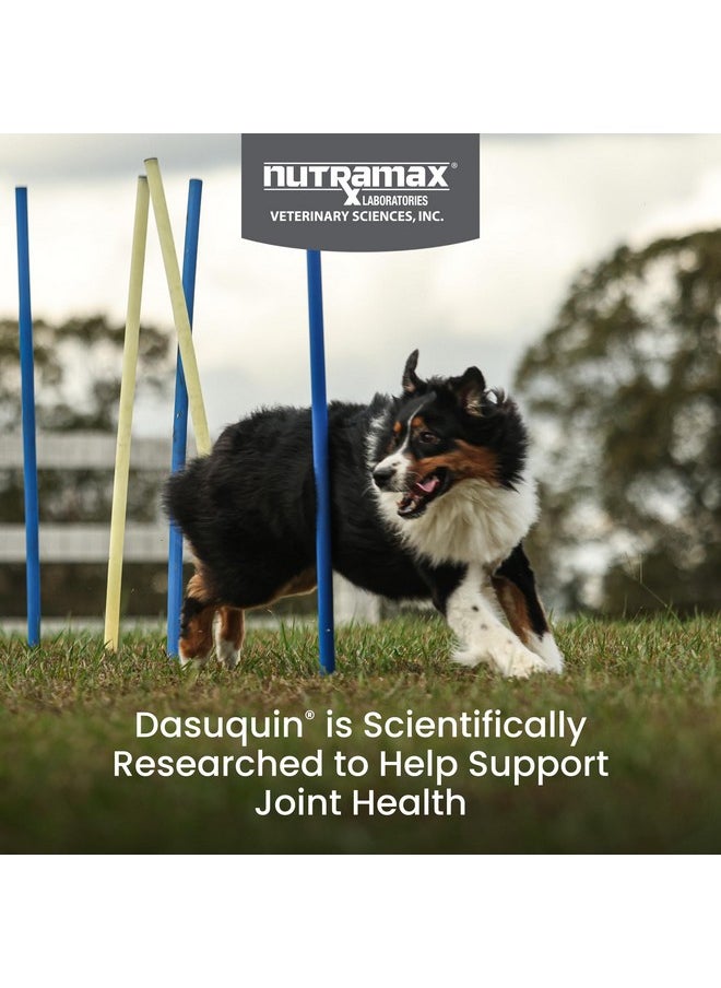 Nutramax Laboratories Nutramax Dasuquin with MSM Chewables, Large Dog, 150 Count  - Image 2