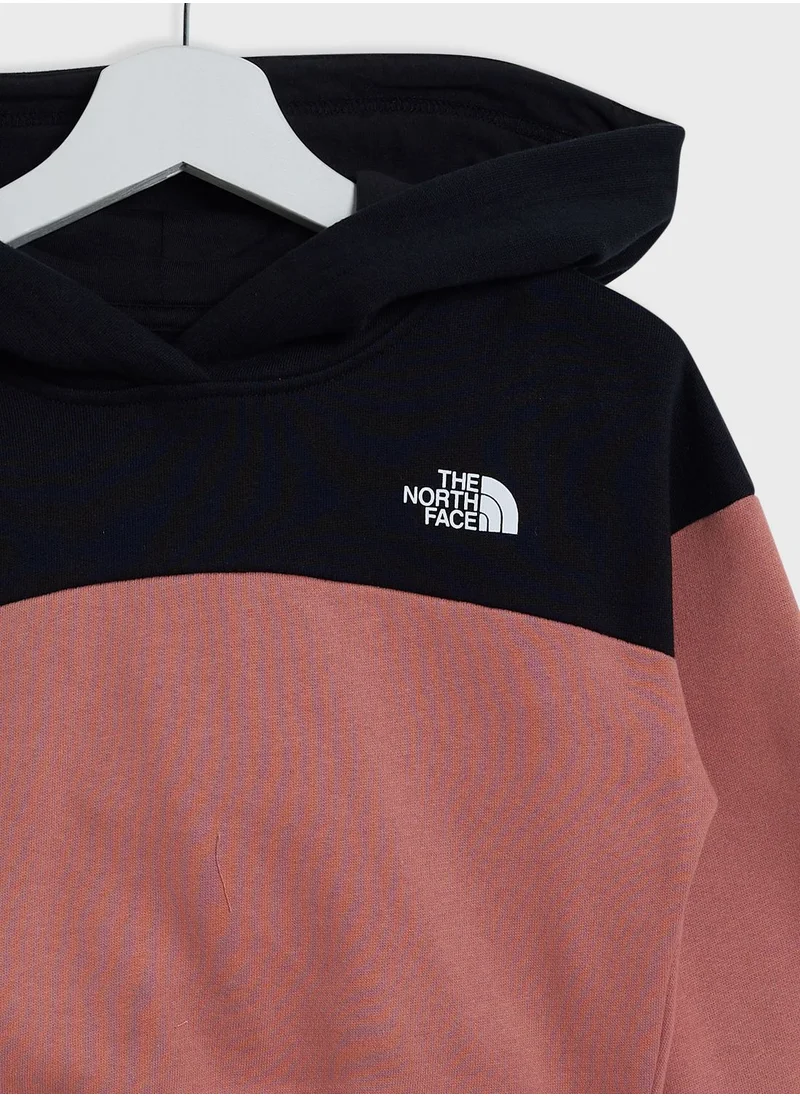 THE NORTH FACE Drew Peak Cropped Hoodie