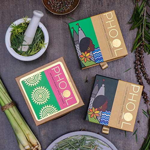PHOOL LUXURY INCENSE أباريق بخور فُل الفخامة، عبوة العلاج العطري 80 بخور عضوي لشجرة الشاي وعشب الليمون + حامل خزفي مجاني 2، بخور، خالٍ من الكبريت والفحم، عضوي 100% (500 جرام) - Image 4