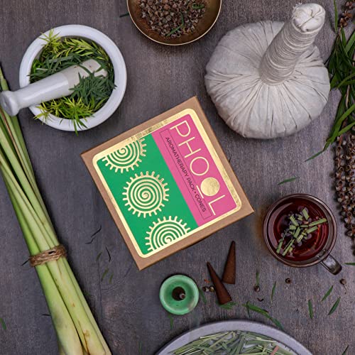 PHOOL LUXURY INCENSE أباريق بخور فُل الفخامة، عبوة العلاج العطري 80 بخور عضوي لشجرة الشاي وعشب الليمون + حامل خزفي مجاني 2، بخور، خالٍ من الكبريت والفحم، عضوي 100% (500 جرام) - Image 5