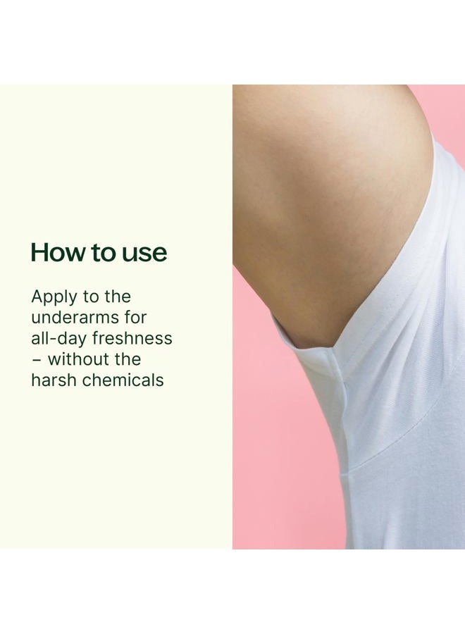 Plant Therapy Timber & Clove Natural Deodorant Aluminum Free 2.65 oz. Made with Natural Ingredients, Paraben Free, Neutralizes Odor, Absorbs Wetness, Non-GMO, Cruelty Free, GMP Compliant - Image 2