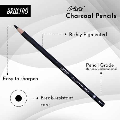 BRUSTRO Artists Charcoal Pencil - Set of 4 (3 Black Shade - Soft, Medium, Hard and 1 White - Medium) | Ideal for Drawing, Shading, Coloring, Sketching, Artwork, Portrait, Landscape, Smooth Blending - Image 5