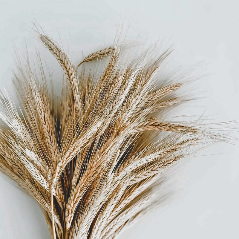 Eco Style Krystal Styling Gel - Adds Body and Shine to all Styles - Moisturizes and Maintains Healthy Hair - Strong, Weightless Hold - Ideal for any Hair Type and Color - Leaves No Residue - 8 oz - Image 5