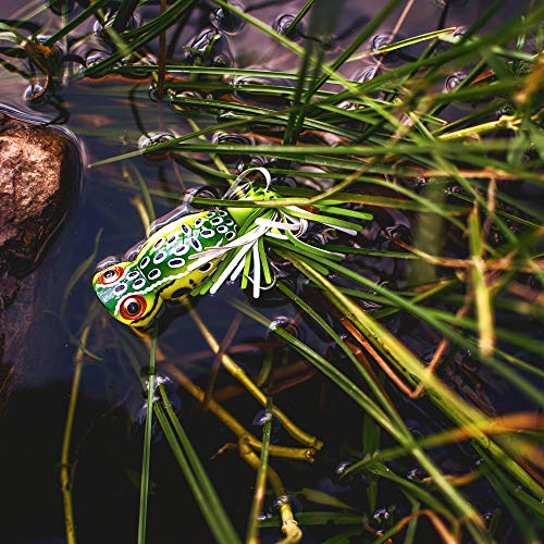 Arbogast Hula Popper Baits, Leopard Frog, 2-Inch - Image 3