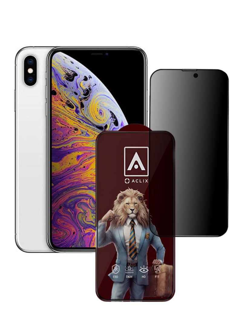 ACLIX Antistatic ESD Dustproof Premium Quality High Definition Anti-Spy Privacy Tempered Glass Screen Protector Designed For  iPhone XS - Image 1