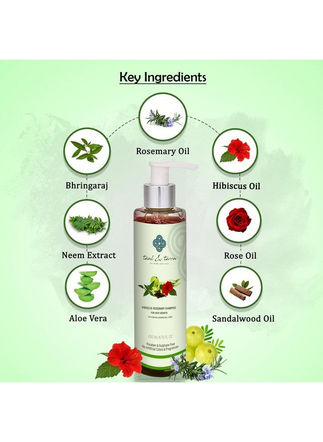 Teal & Terra - Hibiscus Rosemerry Hair Growth Oil Shampoo 200Ml - Image 1