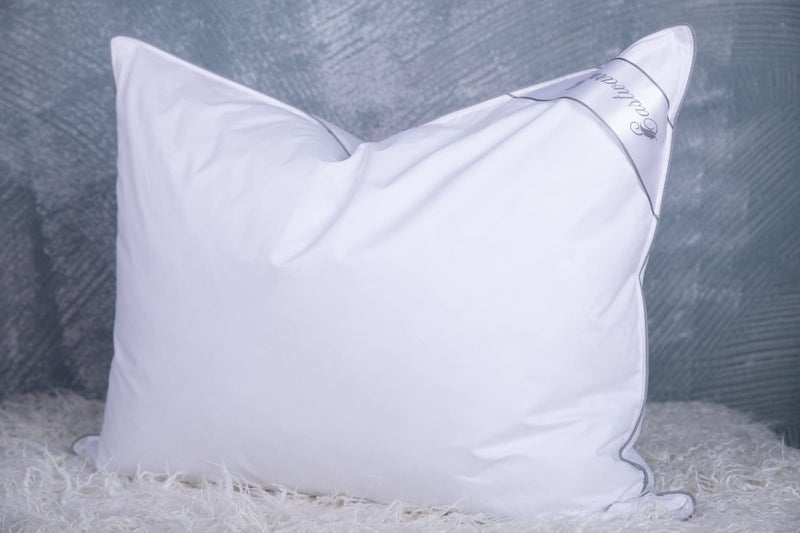 Eastwarmth Goose Feathers Down Pillows for Sleeping Hotel Collection Bed Pillow with Grey Piping Queen Size 20X30IN 1 Pack