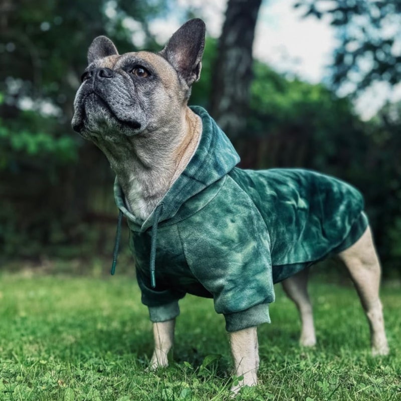 Spark Paws Dog Hoodie – Premium Dog Sweater for Small, Medium, and Large Dogs | Warm Outfits for French Bulldogs, Pitbull, Puppy, Winter Jacket Alternative -Green Skydye, S - Image 4