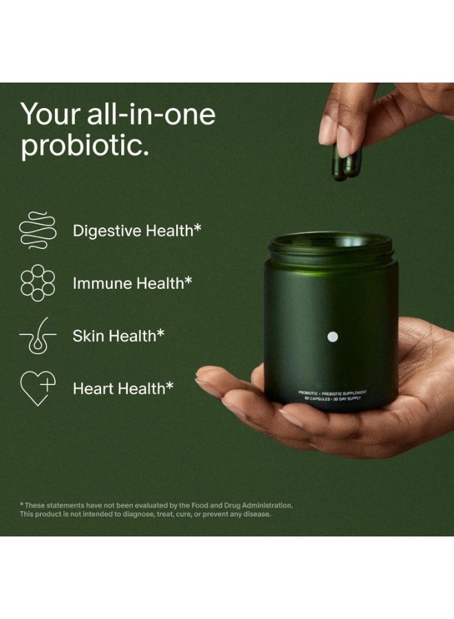 سيد Seed Daily Synbiotic - زلطية حيوية وبروبيوتيك للرجال والنساء - صحة الجهاز الهضمي، صحة الأمعاء، دعم المناعة، تخفيف الانتفاخ والإمساك - نباتي ومستقر على الرف - 60 كبسولة (30 يومًا من التوريد) - Image 5