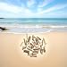 Sluswallow 20 Pcs Natural Driftwood Pieces Branch Slices Craft Sticks Beach Decor for for DIY Craft Sticks Craft Supplies - Image 3
