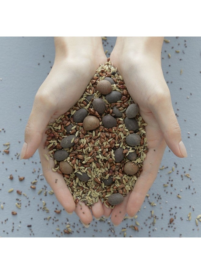 بلايث العلاج الحيوي 9 بذور أساسية من النياسيناميد تونر البشرة الكورية، تونر الشاي الأخضر للوجه، تنقية البشرة الدهنية، تنشيط البقع الداكنة، 5 أونصة سائلة - Image 4