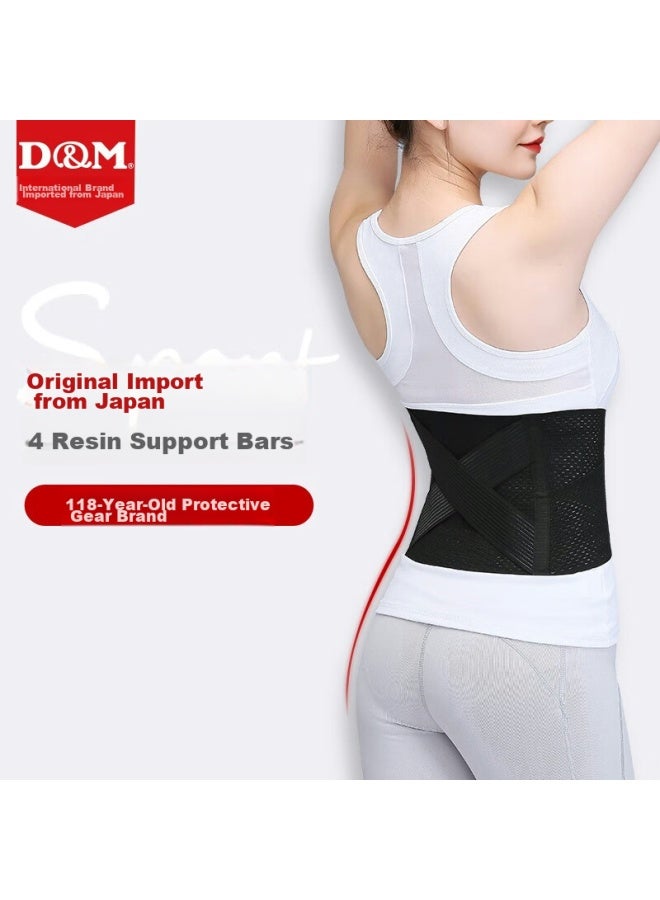 DM D&M Imported Back Support Belt For Lumbar Disc, Waist, And Herniated Disc, Fixed Support For Men And Women, All-Season Style - Image 2