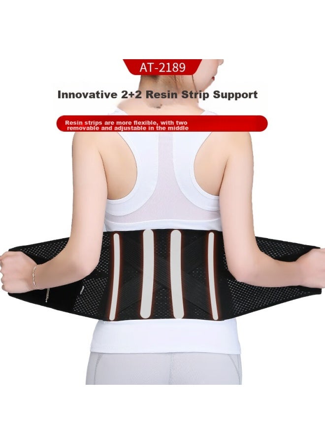 DM D&M Imported Back Support Belt For Lumbar Disc, Waist, And Herniated Disc, Fixed Support For Men And Women, All-Season Style - Image 3
